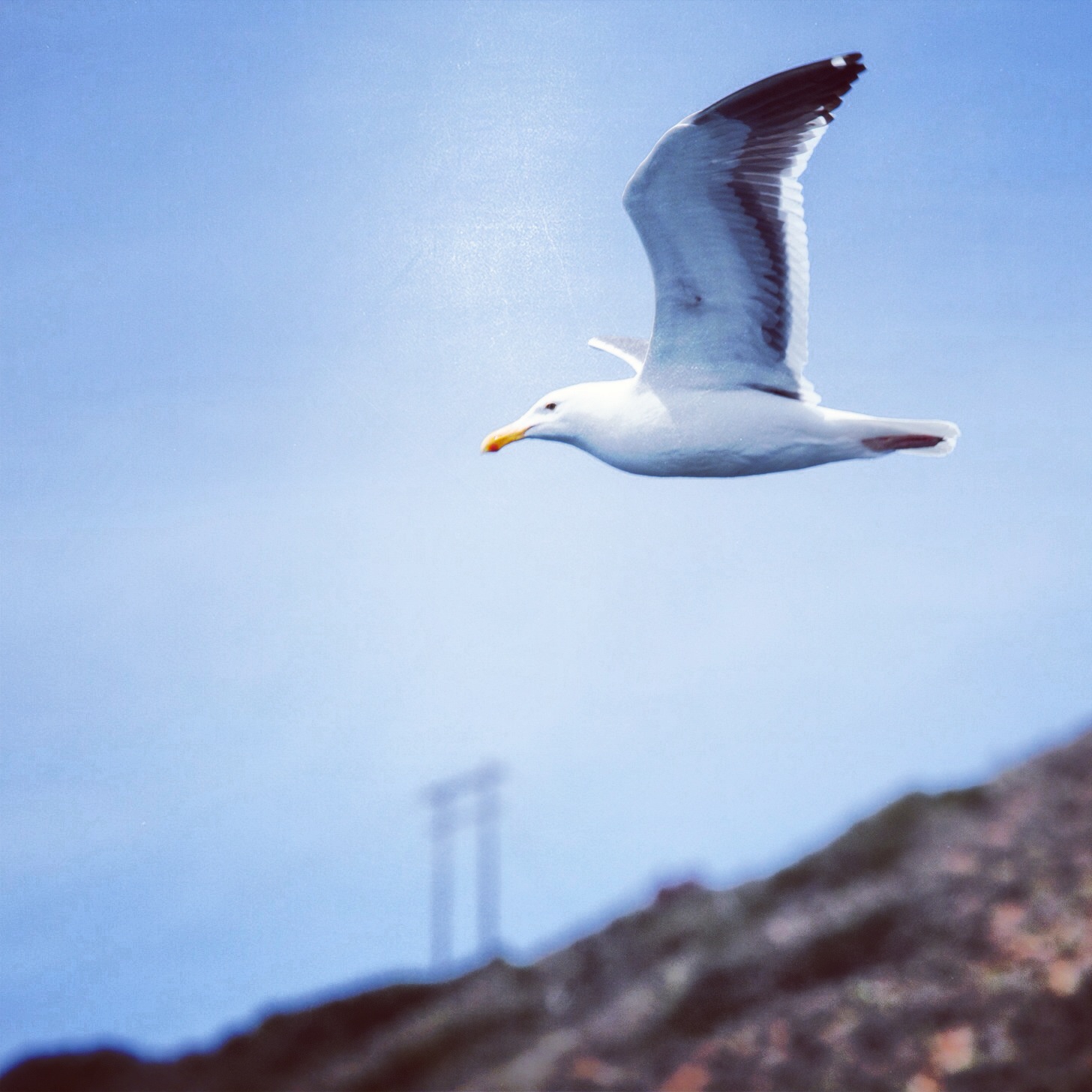 69-70_IMG_0183