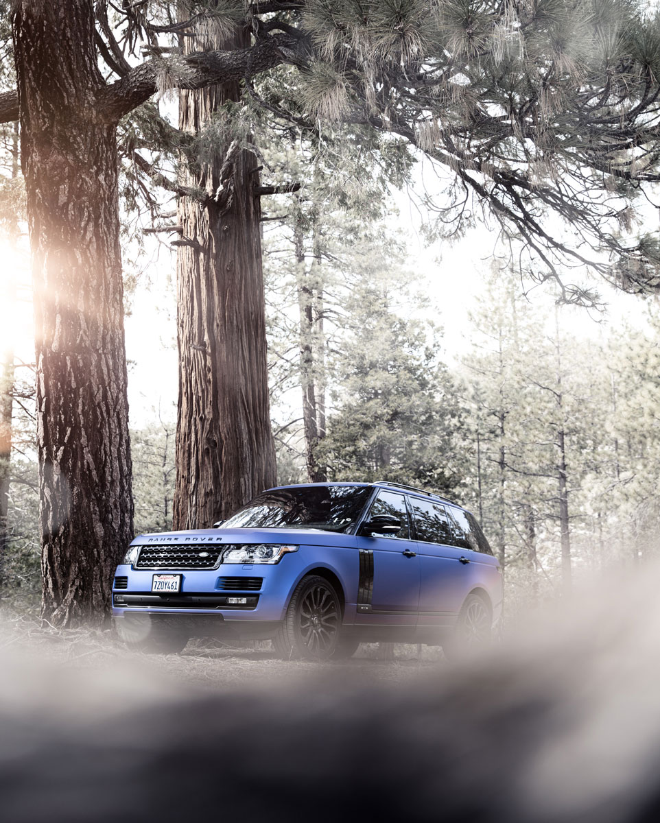 RR_tree_3-4_front_COMP_3A9A6051_apf